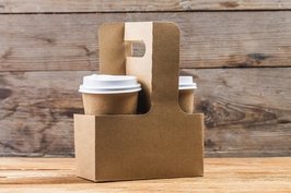 DRAAGTRAY, Karton 2-vaks  Bruin