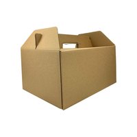 Maaltijdbox Met Handvat, Picknick Box Kraft, Groot 33(L)x25(B)x17(H)cm